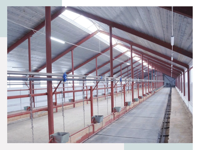 Строительство коровников в Александрове от 643 руб.