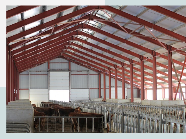 Строительство коровников в Александрове