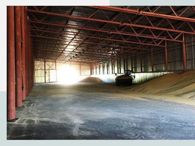 Строительство зернохранилищ в Александрове