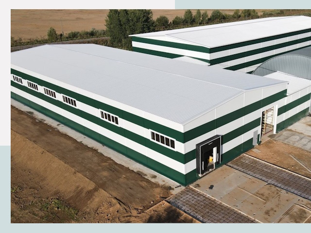 Строительство овощехранилищ в Александрове