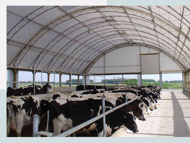 Тентовые коровники в Александрове